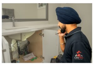 surrey home inspector